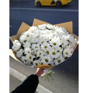 Papatya Buketi (Mnt-PB-1)